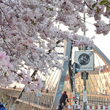 Mauerpark